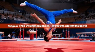 Netgear 3700 VPN路由器深度评测，企业级安全与稳定性的可靠之选