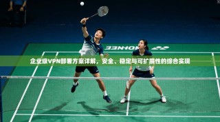 企业级VPN部署方案详解，安全、稳定与可扩展性的综合实现