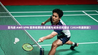 亚马逊 AWS VPN 服务收费标准详解与成本优化建议（2024年最新版）