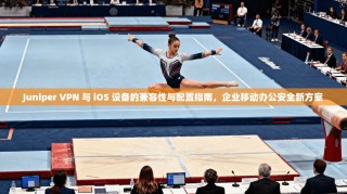 Juniper VPN 与 iOS 设备的兼容性与配置指南，企业移动办公安全新方案