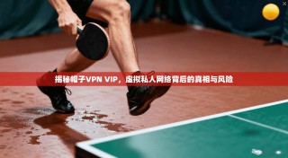 揭秘帽子VPN VIP，虚拟私人网络背后的真相与风险