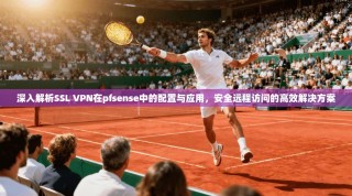 深入解析SSL VPN在pfsense中的配置与应用，安全远程访问的高效解决方案