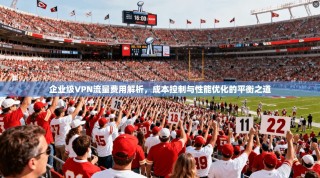 企业级VPN流量费用解析，成本控制与性能优化的平衡之道