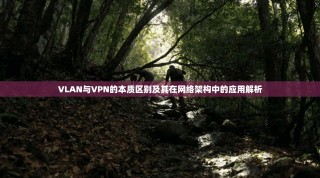 VLAN与VPN的本质区别及其在网络架构中的应用解析