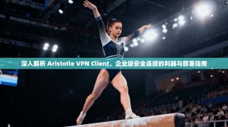 深入解析 Aristotle VPN Client，企业级安全连接的利器与部署指南