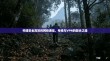 构建安全高效的网络通信，专线与VPN的融合之道