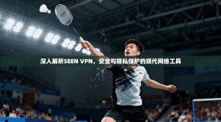 深入解析SEEN VPN，安全与隐私保护的现代网络工具