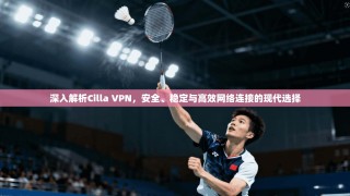 深入解析Cilla VPN，安全、稳定与高效网络连接的现代选择