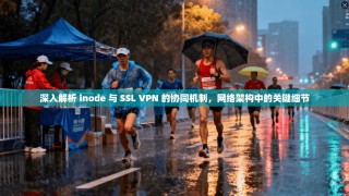深入解析 inode 与 SSL VPN 的协同机制，网络架构中的关键细节