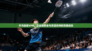 天马动态VPN，企业级安全与灵活访问的完美结合
