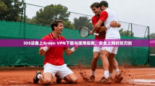 iOS设备上Green VPN下载与使用指南，安全上网的双刃剑