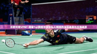 洋葱可用VPN？揭秘Tor网络与虚拟私人网络的深层差异与应用场景