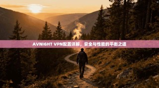 AVNIGHT VPN配置详解，安全与性能的平衡之道