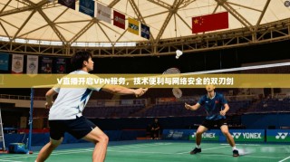 V直播开启VPN服务，技术便利与网络安全的双刃剑