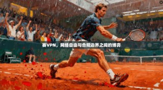 赛VPN，网络自由与合规边界之间的博弈