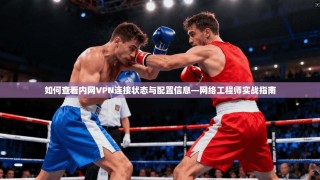 如何查看内网VPN连接状态与配置信息—网络工程师实战指南