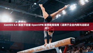 CentOS 6.5 系统下搭建 OpenVPN 服务完整指南（适用于企业内网与远程访问）