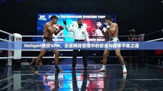 Hotspot授权VPN，企业网络管理中的安全与效率平衡之道