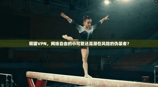 萌猫VPN，网络自由的小可爱还是潜在风险的伪装者？