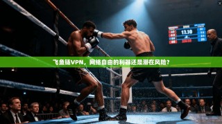 飞鱼链VPN，网络自由的利器还是潜在风险？