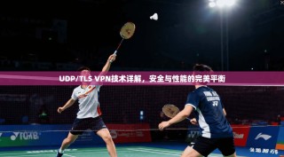 UDP/TLS VPN技术详解，安全与性能的完美平衡