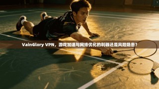 VainGlory VPN，游戏加速与网络优化的利器还是风险隐患？