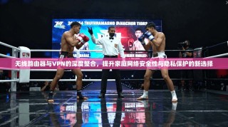 无线路由器与VPN的深度整合，提升家庭网络安全性与隐私保护的新选择