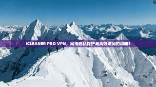 ICLEANER PRO VPN，网络隐私保护与高效访问的利器？