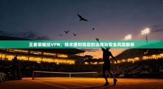 王者荣耀挂VPN，技术便利背后的法律与安全风险解析