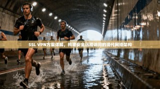 SSL VPN方案详解，构建安全远程访问的现代网络架构