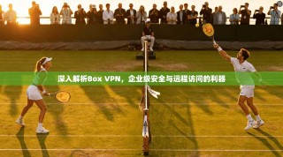 深入解析Box VPN，企业级安全与远程访问的利器
