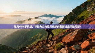 飓风VPN手机版，移动办公与隐私保护的利器还是风险陷阱？
