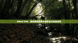 GMod VPN，虚拟网络环境中的安全与自由边界