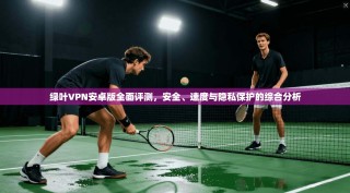 绿叶VPN安卓版全面评测，安全、速度与隐私保护的综合分析