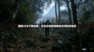 国税VPN下载指南，安全合规使用网络访问税务系统