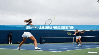 锐联VPN，企业级安全与稳定连接的利器