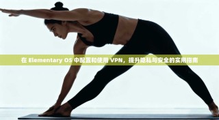 在 Elementary OS 中配置和使用 VPN，提升隐私与安全的实用指南