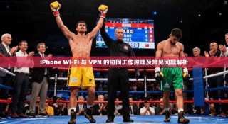 iPhone Wi-Fi 与 VPN 的协同工作原理及常见问题解析