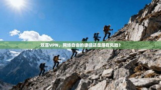 双喜VPN，网络自由的捷径还是潜在风险？