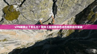 VPN被禁止了怎么办？网络工程师教你合法合规的应对策略