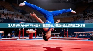 深入解析华为OSPF VPN技术，构建高效、安全的企业级网络互联方案