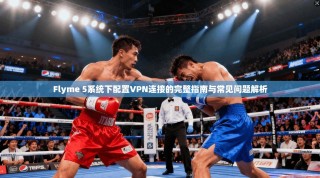 Flyme 5系统下配置VPN连接的完整指南与常见问题解析
