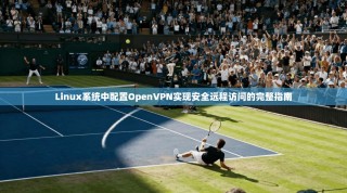 Linux系统中配置OpenVPN实现安全远程访问的完整指南