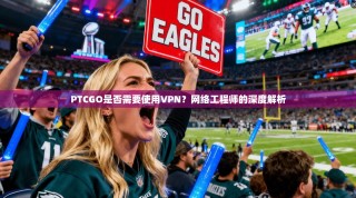 PTCGO是否需要使用VPN？网络工程师的深度解析