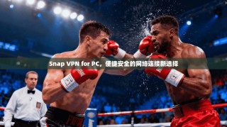 Snap VPN for PC，便捷安全的网络连接新选择