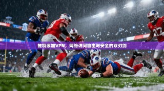 推特添加VPN，网络访问自由与安全的双刃剑