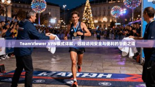 TeamViewer VPN模式详解，远程访问安全与便利的平衡之道