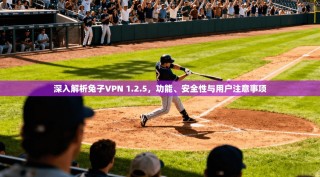 深入解析兔子VPN 1.2.5，功能、安全性与用户注意事项