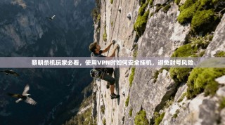 黎明杀机玩家必看，使用VPN时如何安全挂机，避免封号风险