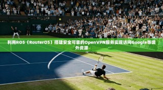 利用ROS（RouterOS）搭建安全可靠的OpenVPN服务实现访问Google等境外资源